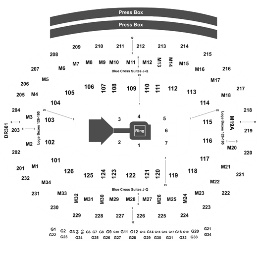 Little Caesars Arena Seating Chart Wwe