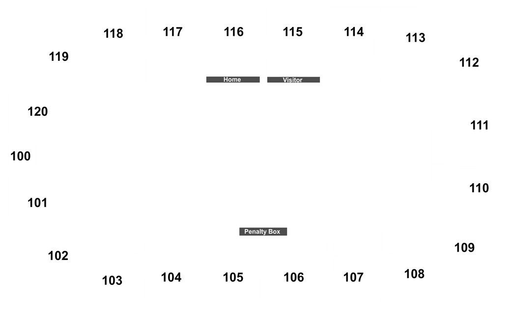 Silverstein Arena Seating Chart