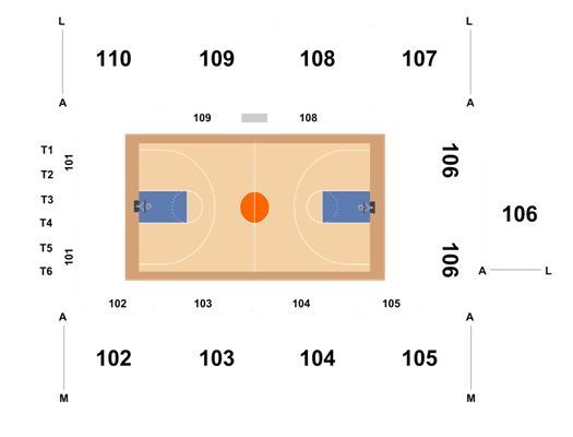 Mad Ants Seating Chart